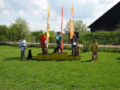 Gewinnerteams bei den Maxis
