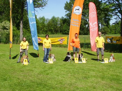 erfolgreiche Teams in Bächingen, Minis