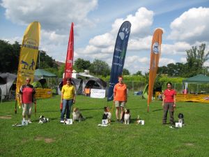 Siegreiche Teams bei den Minis