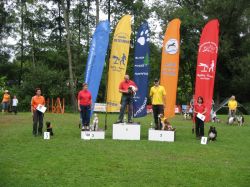 Wittendorf-2011-Minis